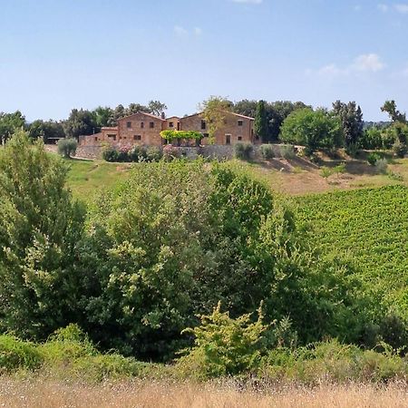 Podere Sole Trequanda Exterior foto