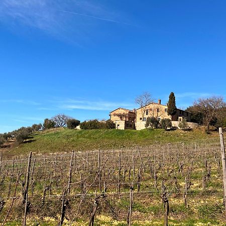 Podere Sole Trequanda Exterior foto