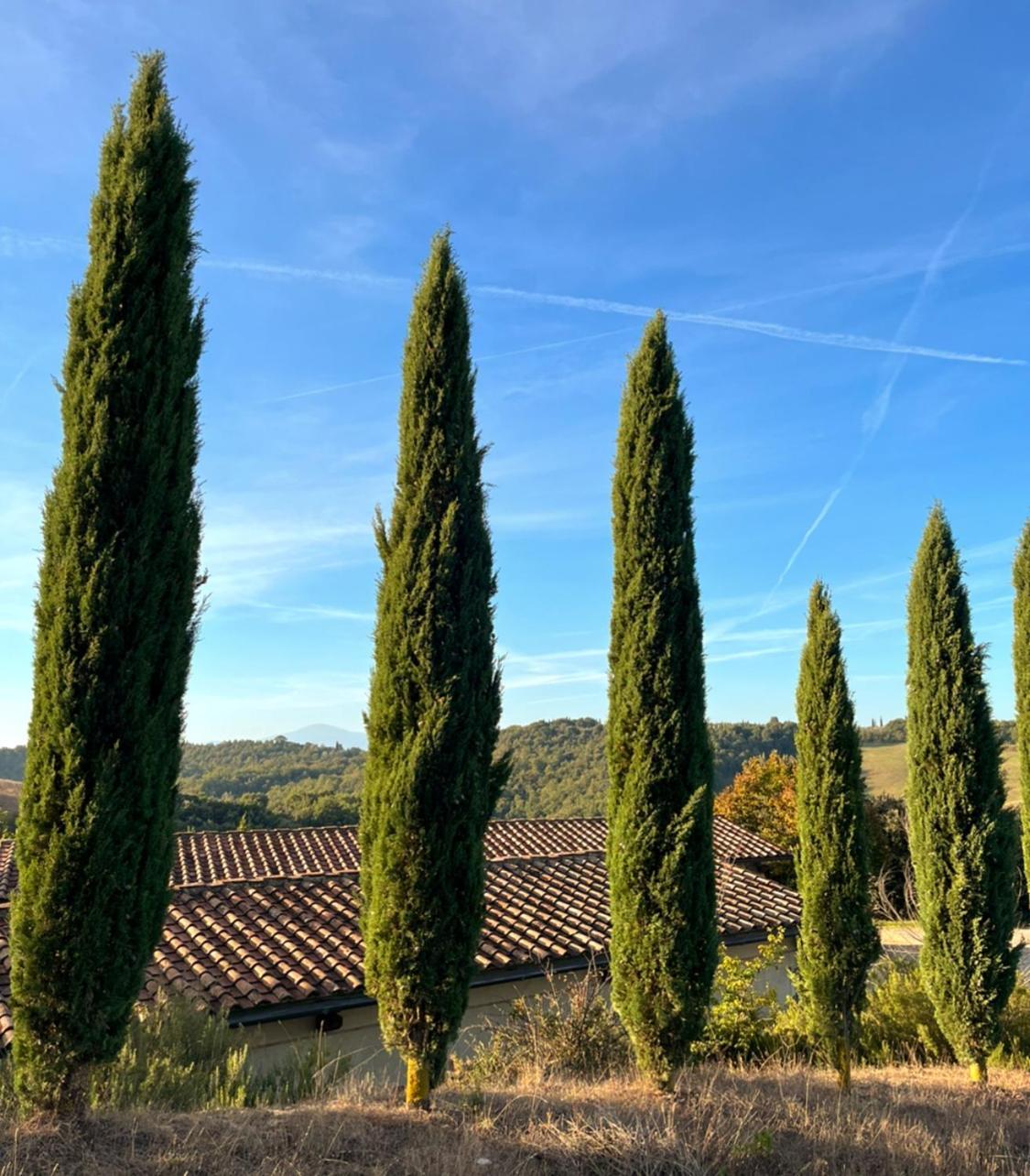 Podere Sole Trequanda Exterior foto