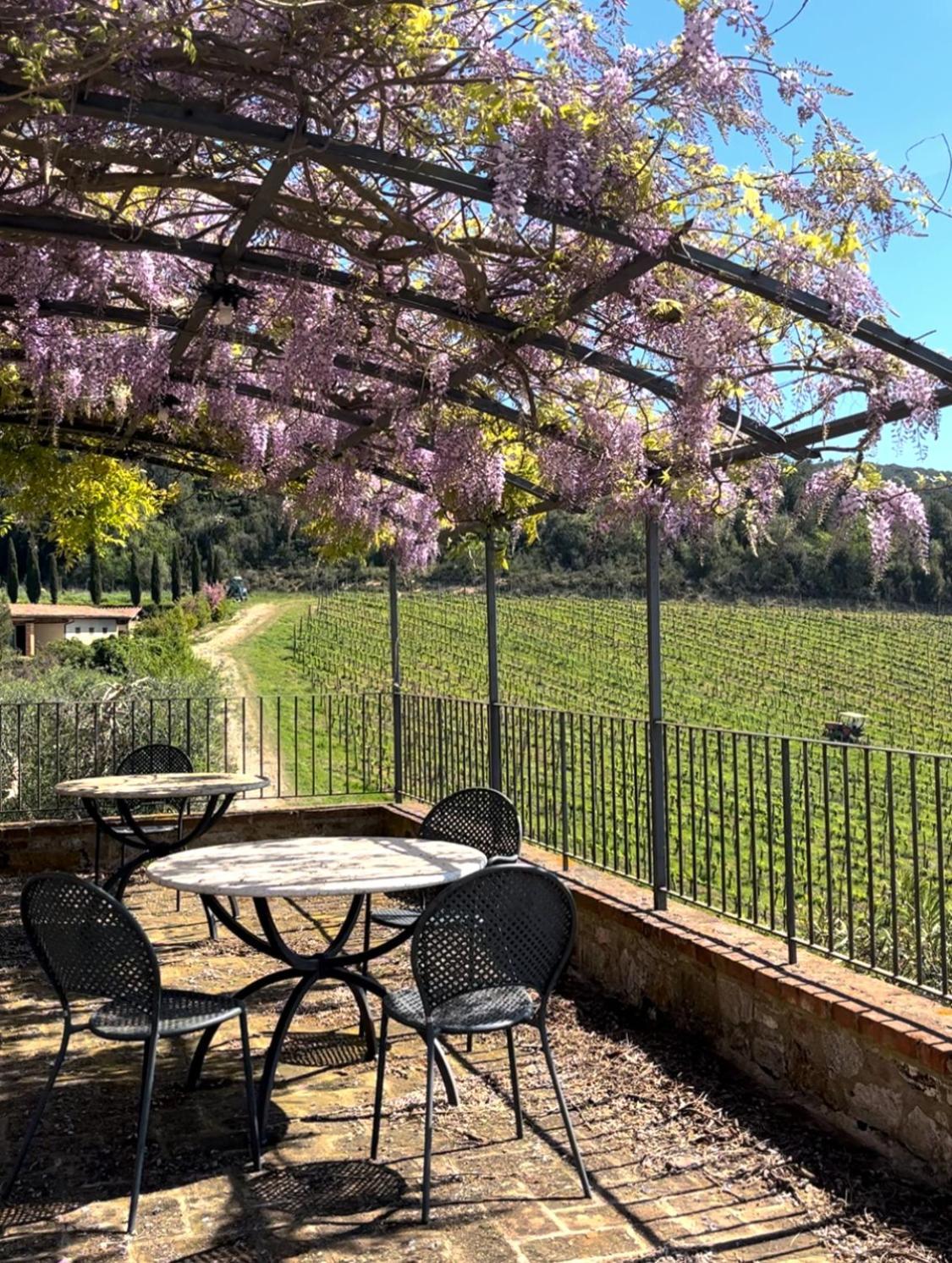 Podere Sole Trequanda Exterior foto