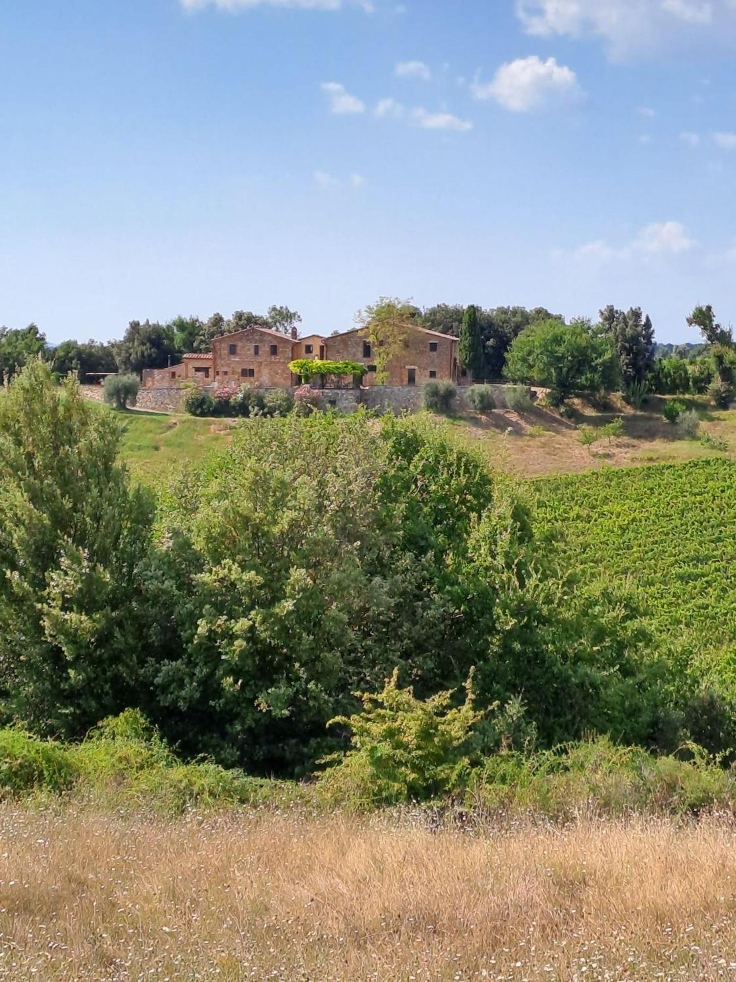 Podere Sole Trequanda Exterior foto