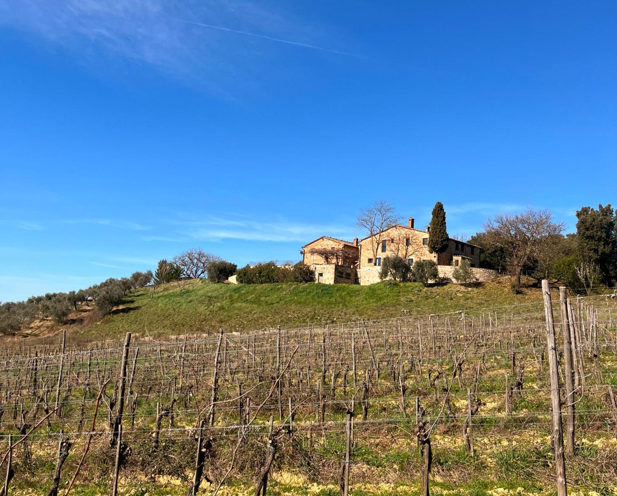 Podere Sole Trequanda Exterior foto
